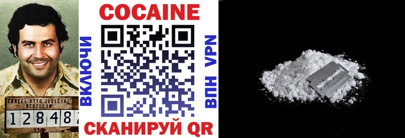 MEGA ССЫЛКА  Камышлов  COCAIN FishScale 