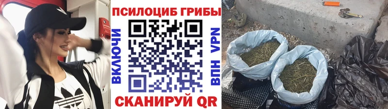Галлюциногенные грибы MAGIC MUSHROOMS  blacksprut вход  Камышлов 
